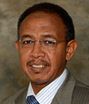 Mamoon Elbedawi M.D.